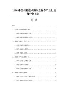 2026中国储能技术路线选择与产业化进程分析报告
