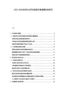 2025-2030農村社會養老保險待遇調整機制研究