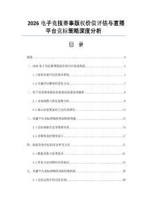 2026电子竞技赛事版权价值评估与直播平台竞标策略深度分析