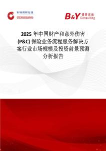 2025年中國財產和意外傷害 (P&C) 保險業務流程服務解決方案行業市場規模及投資前景預測分析報告