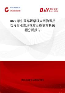 2025年中國車規級以太網物理層芯片行業市場規模及投資前景預測分析報告