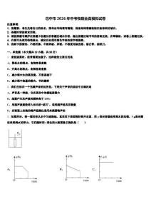 巴中市2026年中考物理全真模拟试卷（含答案解析）