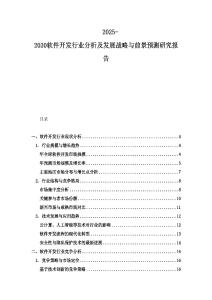 2025-2030软件开发行业分析及发展战略与前景预测研究报告