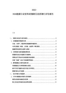 2025-2030能源行業變革深度解析及投資潛力評估報告