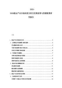 2025-2030航運(yùn)產(chǎn)業(yè)市場深度分析及發(fā)展前景與資源配置研究報(bào)告