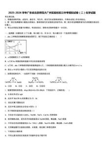 2025-2026学年广东省北京师范大广州实验校初三中考模拟试卷（二）化学试题含解析