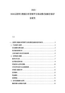 2025-2030互聯(lián)網(wǎng)大數(shù)據(jù)分析營銷平臺商業(yè)模式創(chuàng)新價值評估研究
