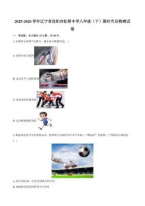 2025-2026学年辽宁省沈阳市虹桥中学八年级（下）限时作业物理试卷（含答案）
