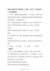 2025学年中考（广东版）道德与法治复习——我们共同的世界专项训练试卷（含答案）
