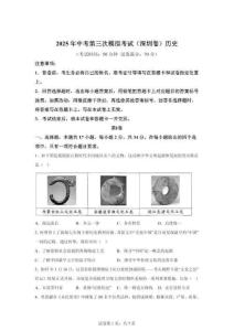 2025年中考历史（广东深圳）第三次模拟考试试题（含答案）