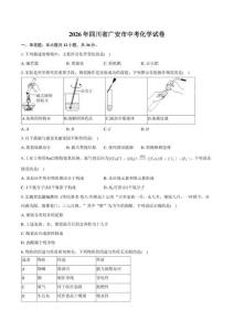 2026年四川省广安市中考化学试卷（含答案）