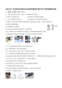 2026年广东省深圳市福田区红岭教育集团石厦中学中考物理模拟试卷（含答案）