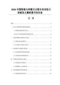 2026中國(guó)智能電網(wǎng)建設(shè)進(jìn)程與關(guān)鍵技術(shù)突破及發(fā)展前景預(yù)測(cè)報(bào)告