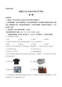 2026年甘肃武威市中考化学真题卷（含答案与解析）