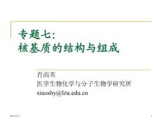 專題七：核基質的結構與組成