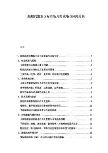 船舶润滑油国际市场开拓策略与风险分析