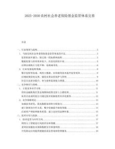 2025-2030農村社會養老保險基金監管體系完善