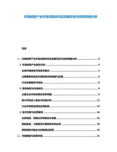 环境修复产业市场深度研究及发展态势与投资策略分析