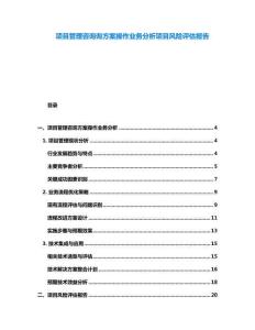 項目管理咨詢詢方案操作業務分析項目風險評估報告