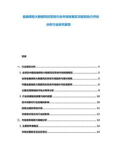 金融保险大数据风控系统行业市场发展实况规划执行评估分析行业研究报告