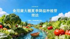 食用菌大棚夏季降温种植管理法