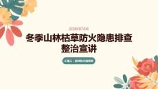 冬季山林枯草防火隱患排查整治宣講