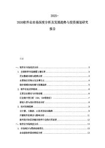 2025-2030软件业市场深度分析及发展趋势与投资规划研究报告