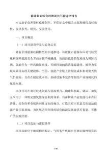 能源氢能综合利用项目节能评估报告