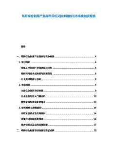 秸秆综合利用产业政策分析及技术路线与市场化融资报告