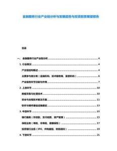 金融服务行业产业链分析与发展趋势与投资前景展望报告