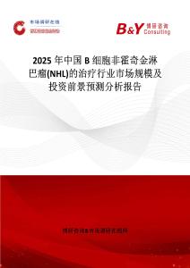 2025年中国B细胞非霍奇金淋巴瘤(NHL)的治疗行业市场规模及投资前景预测分析报告
