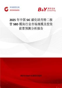2025年中国SIC碳化硅肖特二极管SBD模块行业市场规模及投资前景预测分析报告