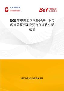 2025年中國水蒸汽處理爐行業市場前景預測及投資價值評估分析報告