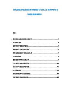 现代钢铁冶炼过程优化市场调研及行业上下游关联分析与发展机遇捕获报告