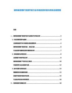玻利维亚锂矿资源开发行业市场投资环境与项目合规管理