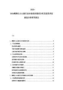 2025-2030鹤舞江山山脉行业市场现状需求分析及投资评估规划分析研究报告