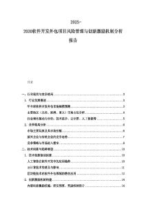 2025-2030软件开发外包项目风险管理与创新激励机制分析报告