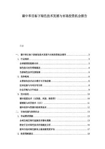 碳中和目標(biāo)下綠色技術(shù)發(fā)展與市場(chǎng)投資機(jī)會(huì)報(bào)告
