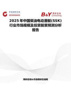 2025年中国柴油电动潜艇(SSK)行业市场规模及投资前景预测分析报告
