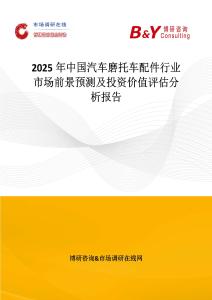 2025年中国汽车磨托车配件行业市场前景预测及投资价值评估分析报告