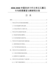 2026-2030中国天井伞行业市场发展趋势与前景展望战略研究报告