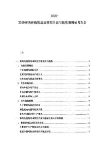 2025-2030南美传统制造业转型升级与投资策略研究报告