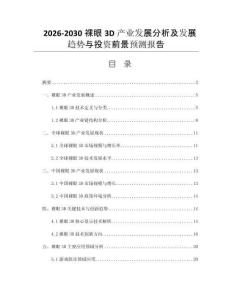 2026-2030裸眼3D产业发展分析及发展趋势与投资前景预测报告