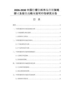 2026-2030中国柠檬饮料市场营销策略探讨及投资战略规划可行性研究报告