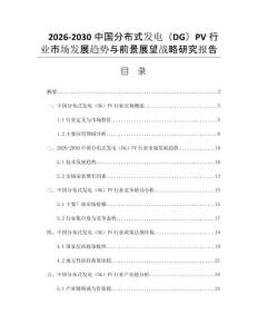 2026-2030中國(guó)分布式發(fā)電（DG）PV行業(yè)市場(chǎng)發(fā)展趨勢(shì)與前景展望戰(zhàn)略研究報(bào)告