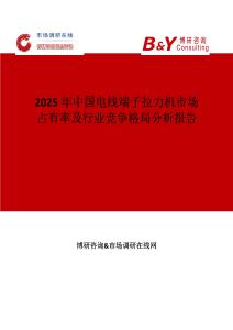 2025年中国电线端子拉力机市场占有率及行业竞争格局分析报告
