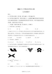 2026年湖南衡阳市九年级数学适应性练习题【含答案】