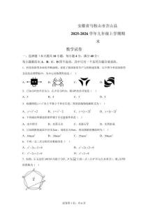 安徽马鞍山市含山县2025-2026学年九年级上学期期末数学试卷【含答案】