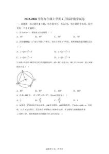 广东省深圳市南山实验教育集团南海中学2025-2026学年九年级上学期2月综评数学试卷【含答案】