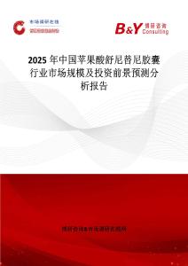 2025年中國蘋果酸舒尼替尼膠囊行業(yè)市場規(guī)模及投資前景預(yù)測分析報告